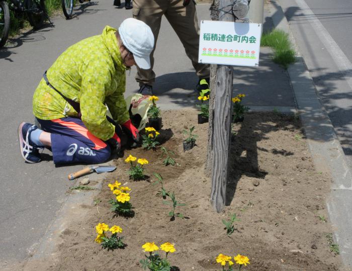 植栽の様子2
