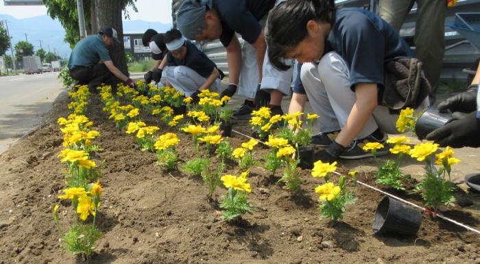 植栽の様子1