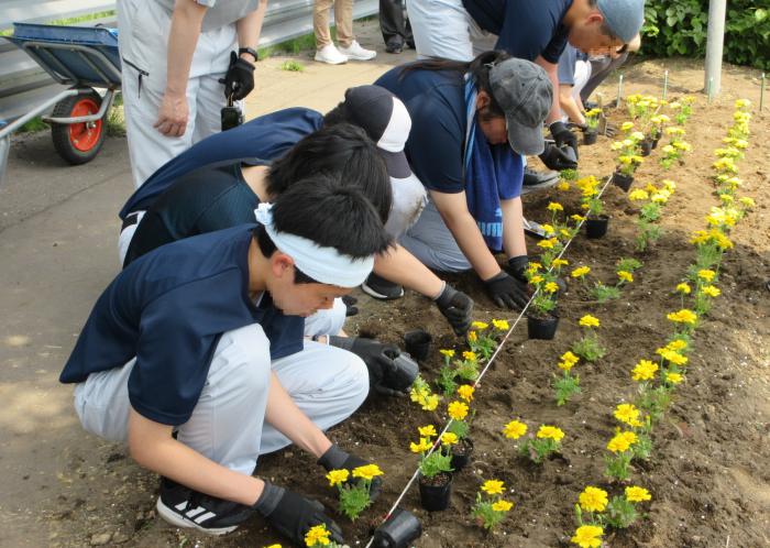 植栽の様子2