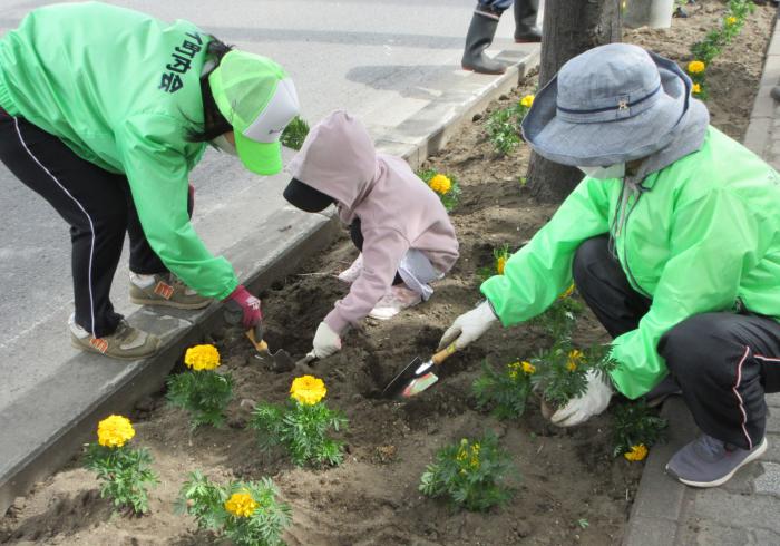 今年の植栽の様子