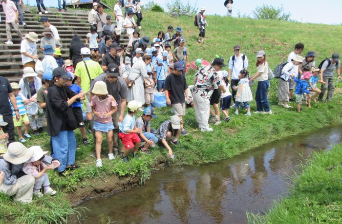 魚稚魚放流1