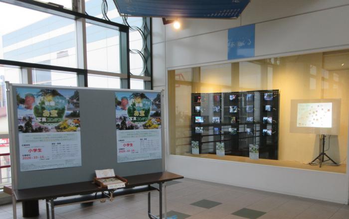 展示の様子1