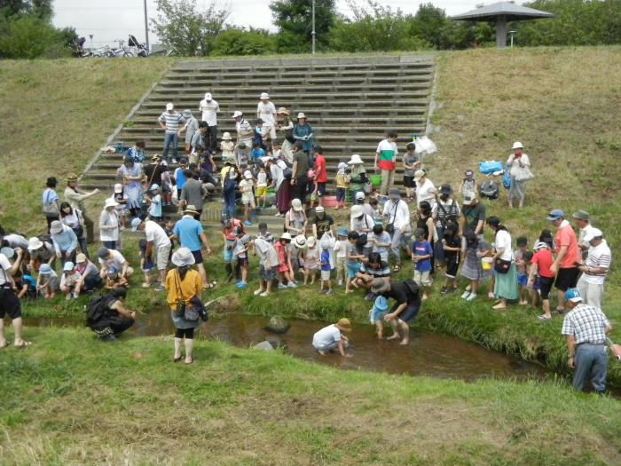 魚の放流の模様1