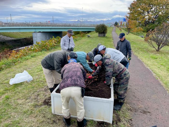 中の川球根植え2