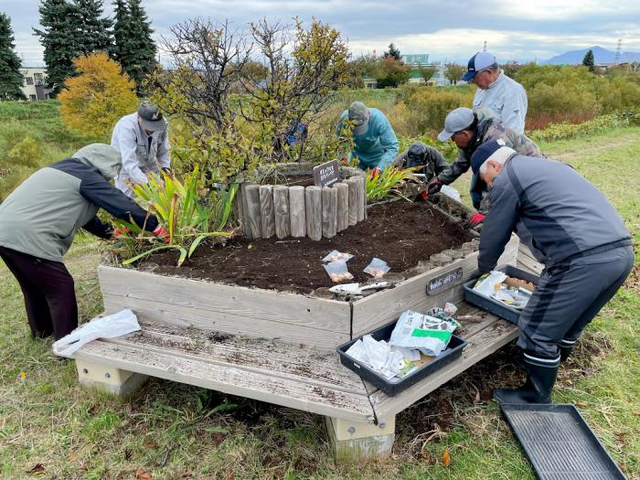 中の川球根植え3