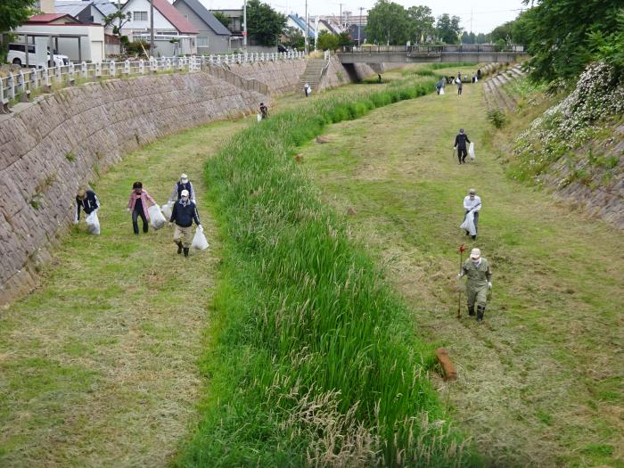 写真：美化活動の様子