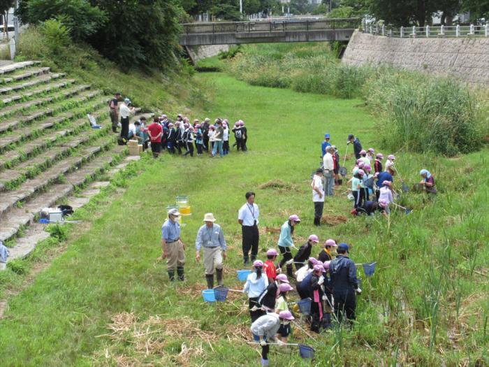 生物観察会全体の様子