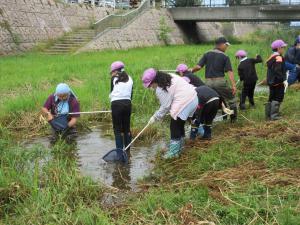 生物採取の様子