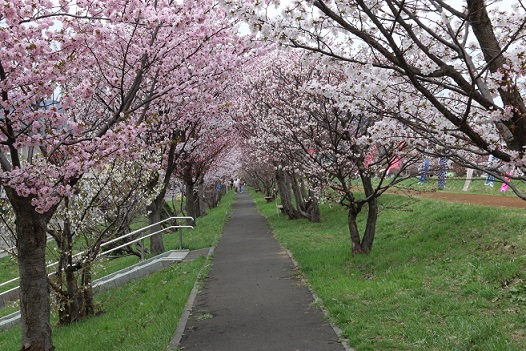 軽川緑地