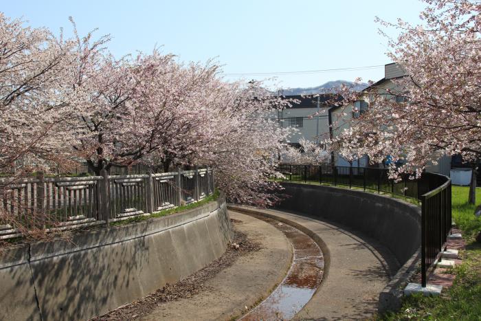 旧軽川緑地