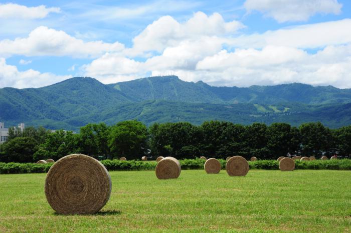 第2回ていねくフォトコンテストで特別賞を受賞した、手稲山を背景にした牧草ロールのある原っぱの写真