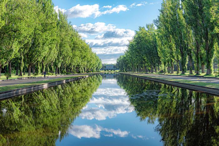 第2回ていねくフォトコンテストでていぬ賞を受賞した、夏の前田森林公園のカナールの写真