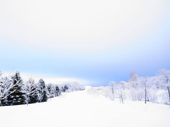 見渡す限りの雪原の写真