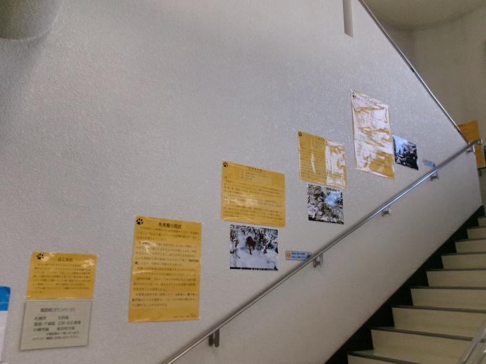 2026年4月、展示、おとなりは森、写真2