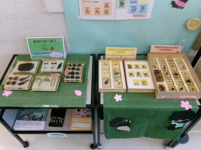 2026年4月、展示、おとなりは森、写真3