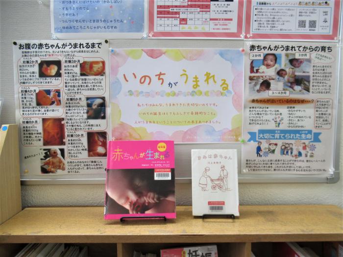 「いのちがうまれる」展示写真