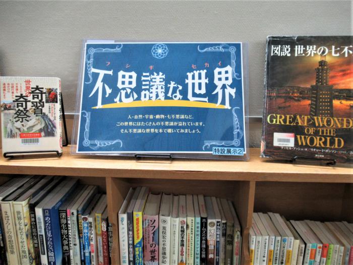 「不思議な世界」展示写真