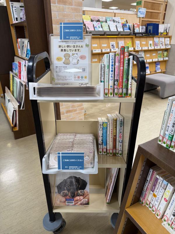 動物についての特設展示の写真3枚目です