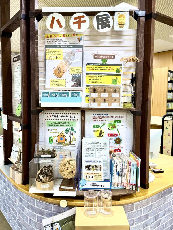 ハチ展の写真です