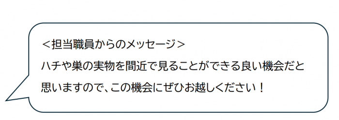 ハチ展の画像2枚目です
