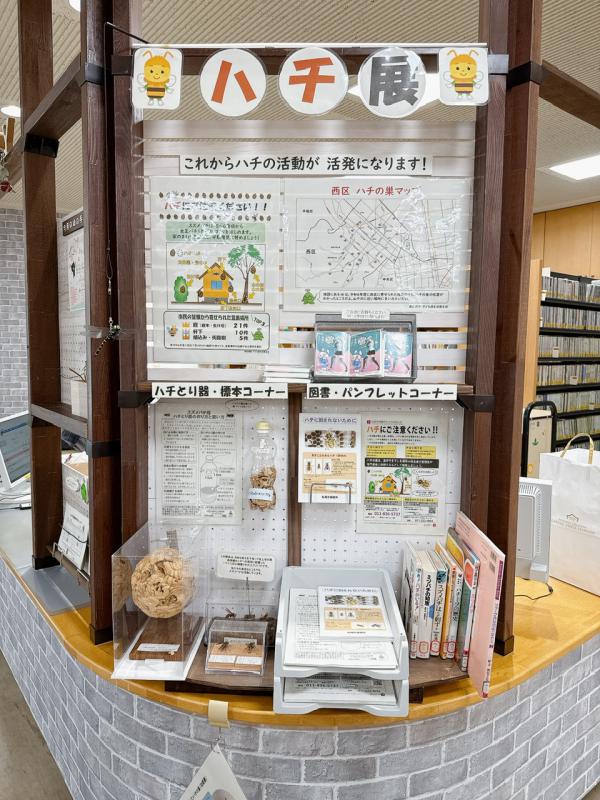 ハチ展の写真です