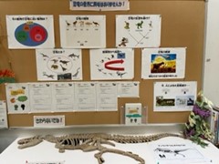 北海道博物館恐竜トランクキッド