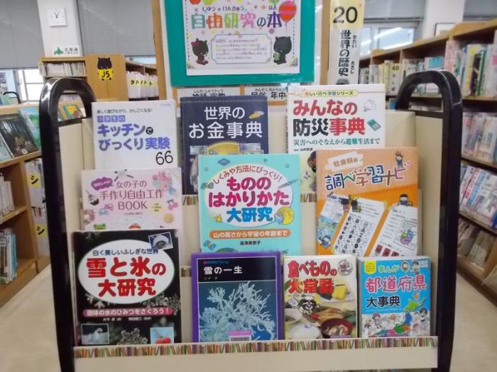 展示の全体写真です。関連本を表紙が見えるように展示しています。