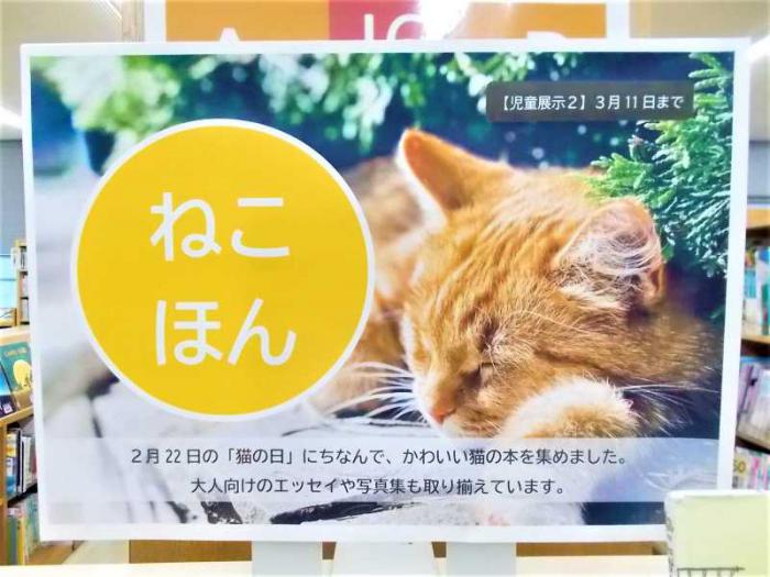 展示の看板写真です。眠っている猫の写真を背景にしています。
