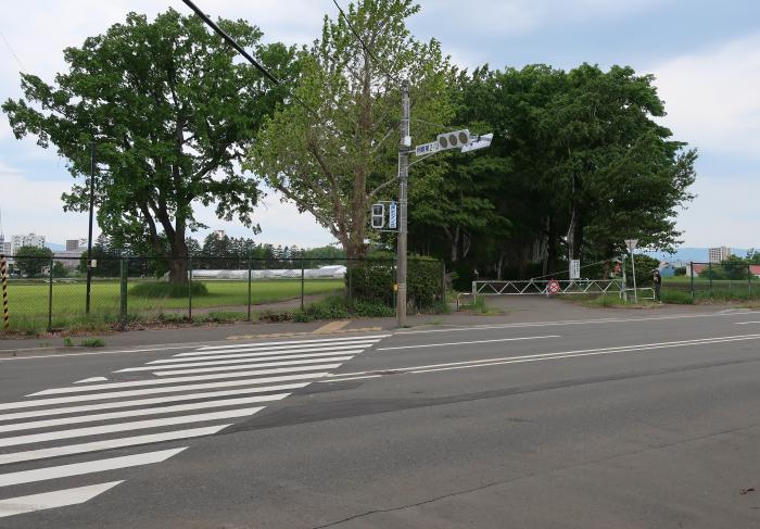 信号のある横断歩道