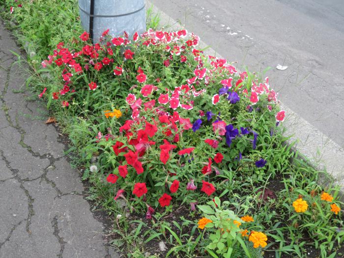 街路ます花壇