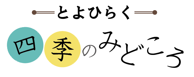 四季のみどころ