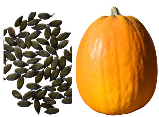 （かぼ）ゴールデンライト