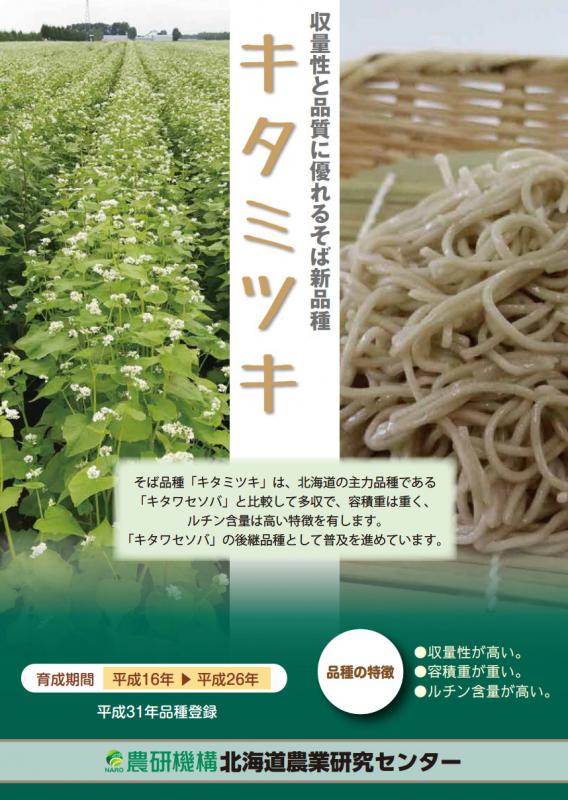 （そば）キタミツキ