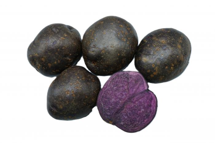 （いも）ノーブルシャドー