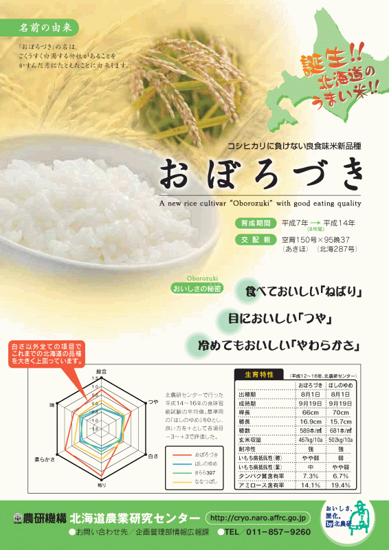 （こめ）おぼろづき