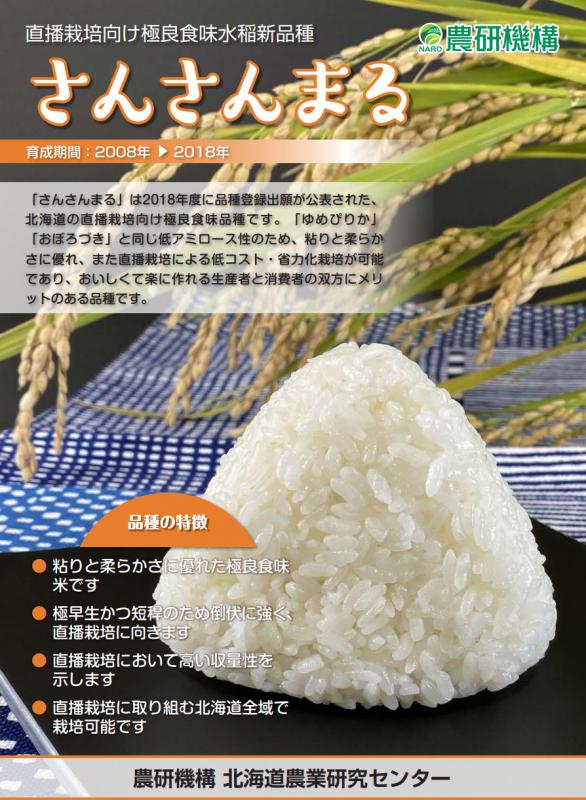 （水稲）さんさんまる