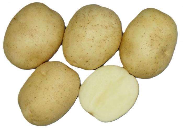 （いも）さやか