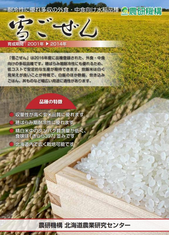 （水稲）雪ごぜん