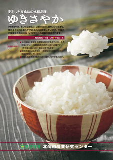 （こめ）ゆきさやか