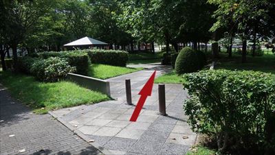 04