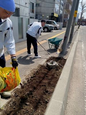 2025和泉組植花2