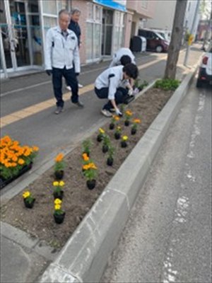 2025和泉組植花4
