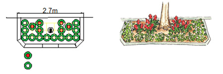 横幅2.7メートル程度の植樹ますの例（サルビア6株、ベゴニア10～12株）