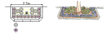 横幅2.7メートル程度の植樹ますの例（クリサンセマ6株、アゲラタム10～12株）