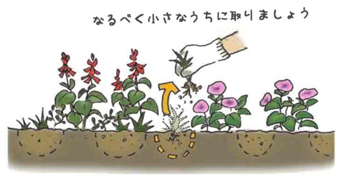 草取りの方法