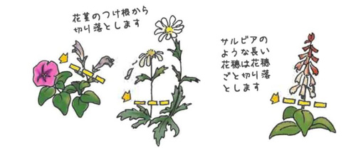 花がら摘みの方法