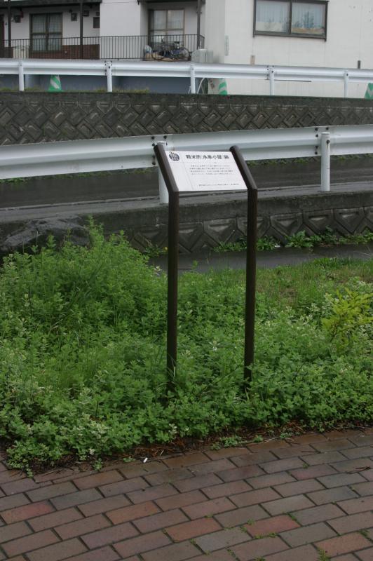 精米所（水車小屋）跡