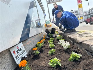 トヨペット植花2