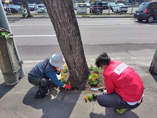 中の島南郵便局植花1