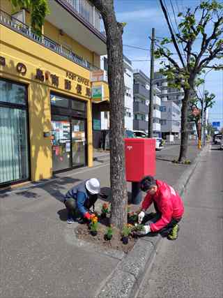 中の島南郵便局植花2